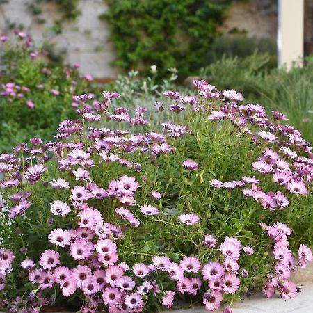 Il Giardino Di Benedetta Bed & Breakfast Lecce Exterior foto